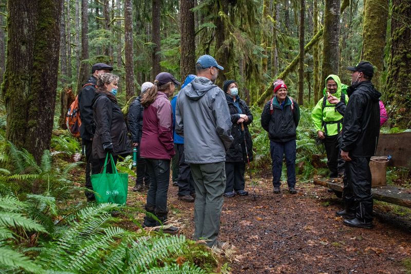 Olympic Peninsula Fungi Frenzy