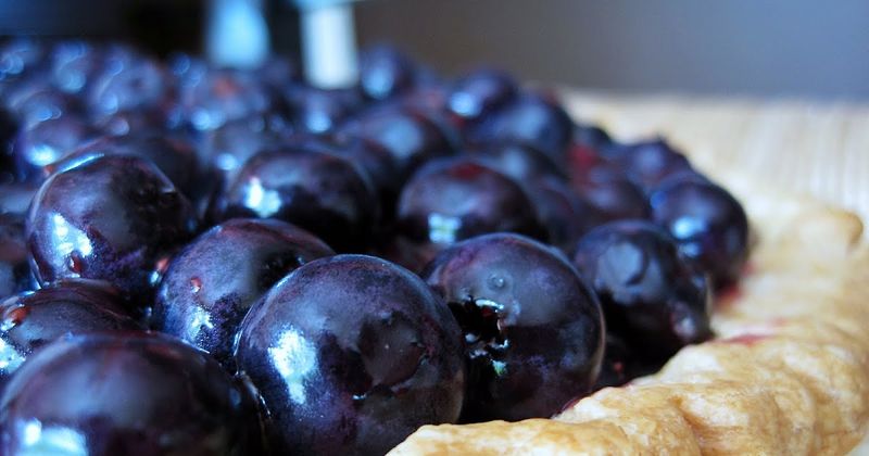 Blueberry Pie