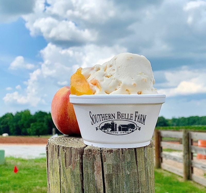 Southern Belle Farm
