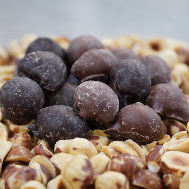Filberts In Chocolate