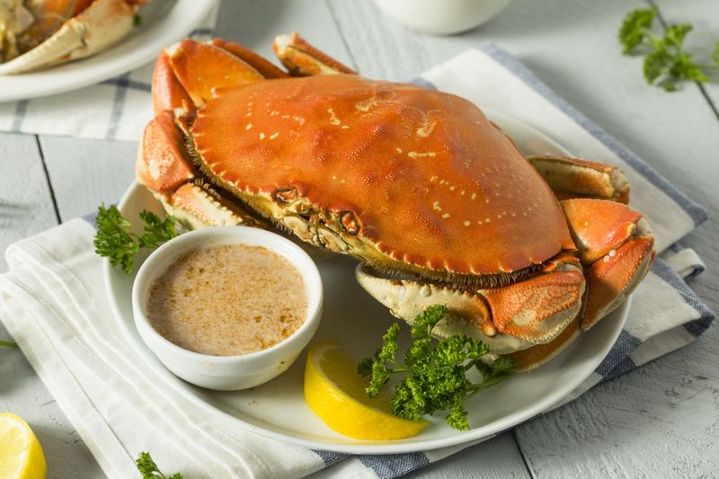 Dungeness Crab