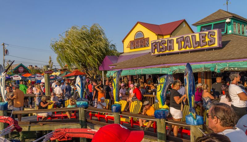 Fish Tales