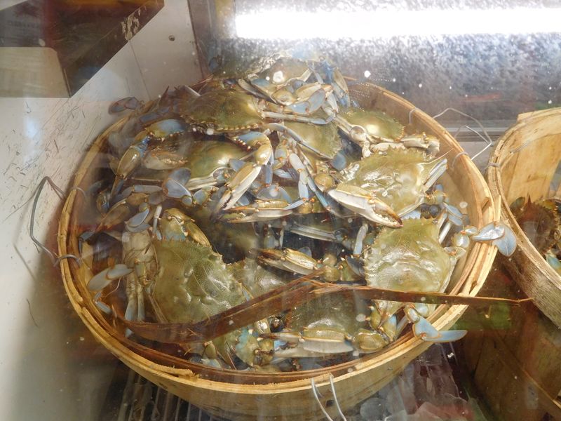 I Got Your Crabs