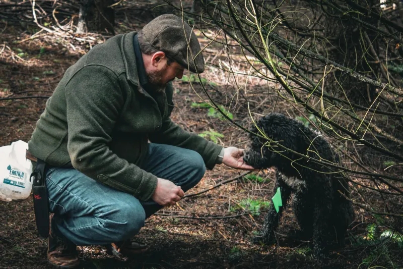 Pacific Northwest Truffle Hunt
