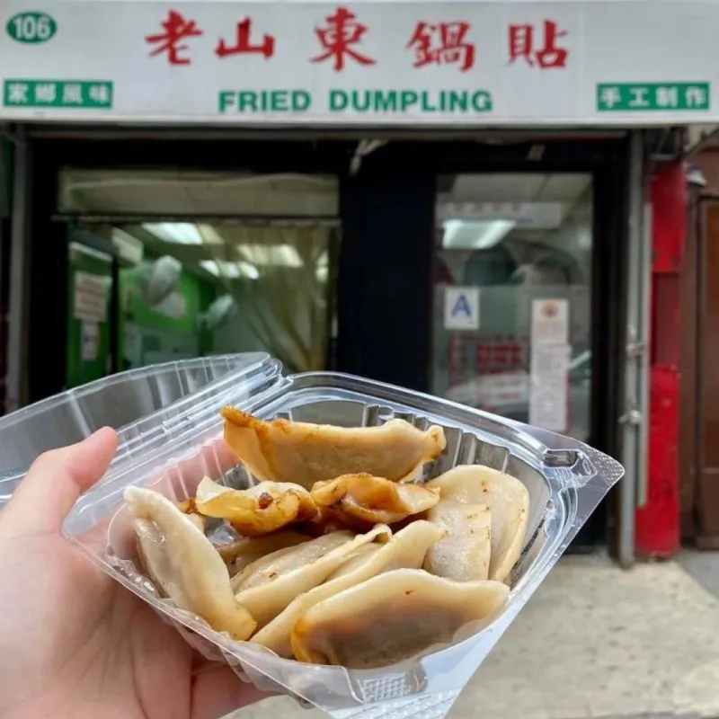 Dumplings From Chinatown