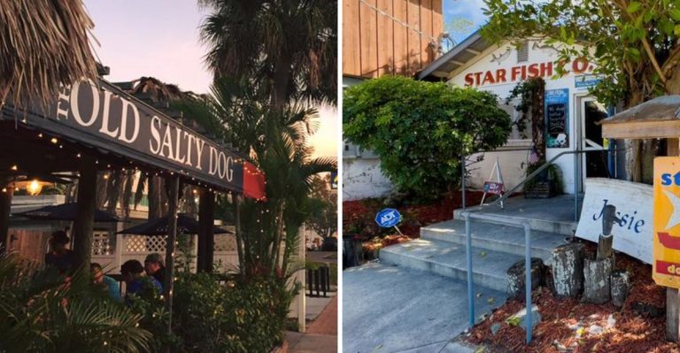People Travel From All Across Florida For Meals At These Beachfront Seafood Shacks