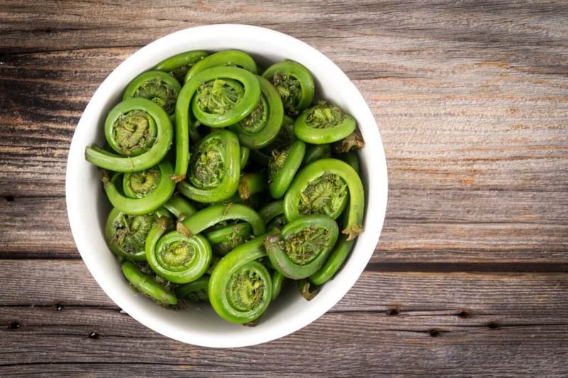 Fiddleheads