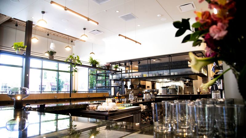 The Webster 