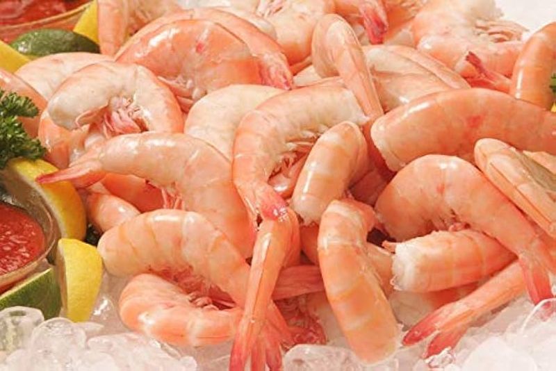 Key West Pink Shrimp: Coral-Colored Crustaceans