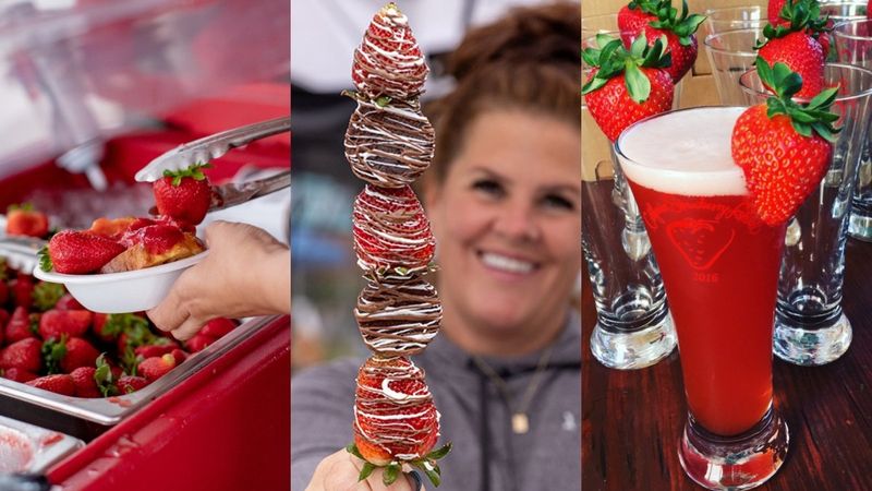 California Strawberry Festival