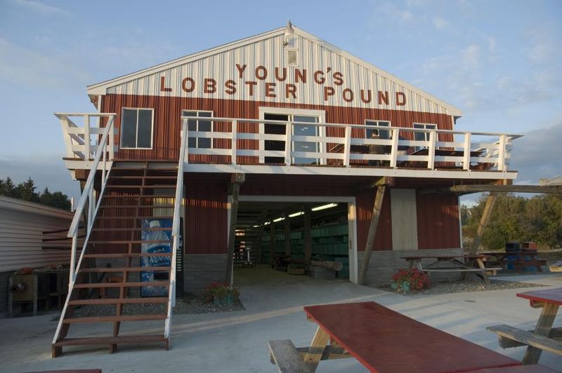 Young's Lobster Pound – Belfast