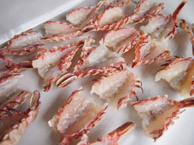 Rock Shrimp