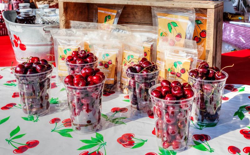 Michigan Cherry Everything