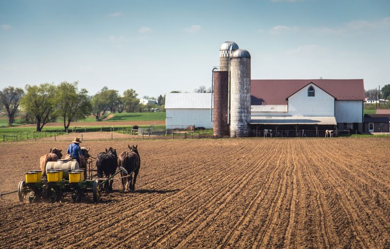 Pennsylvania Dutch Farm-To-Table Traditions