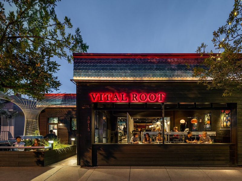 Vital Root 