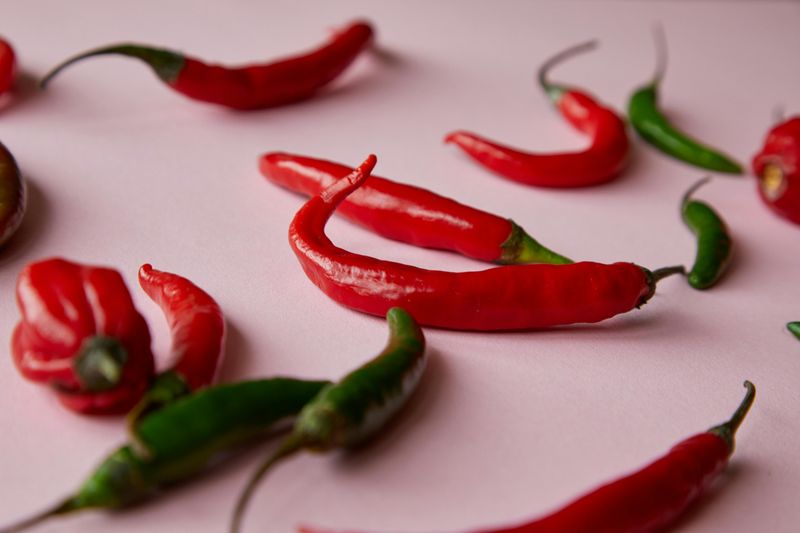 Fort Worth Chili And Salsa Fest – Bold Regional Flavors