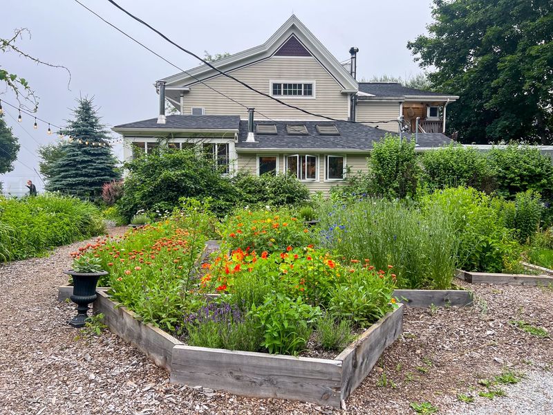 Primo – Rockland