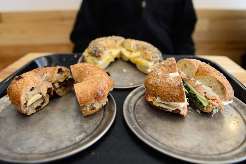 Bagelsaurus