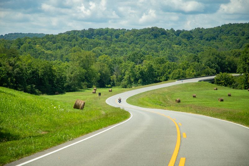 The Scenic Drive