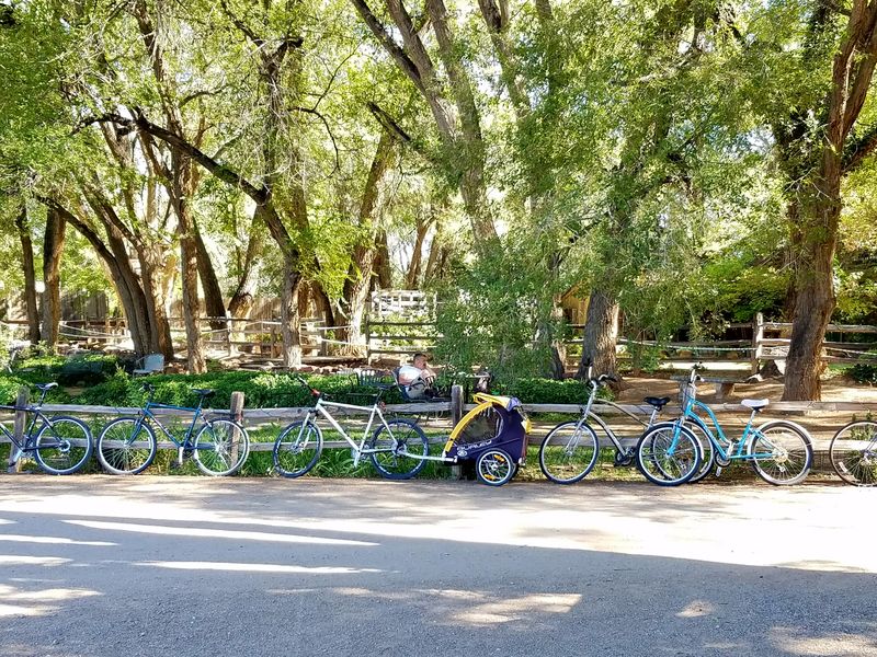 Bike In Coffee: Pedal-Powered Breakfast Bliss