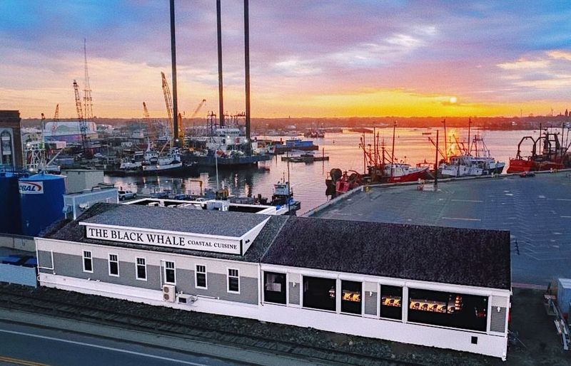 The Black Whale