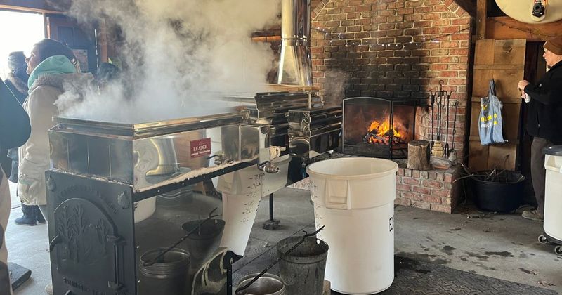 Carlisle Reservation Maple Sugaring Open House