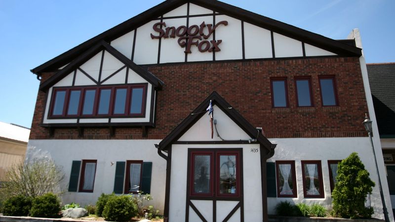 Snooty Fox