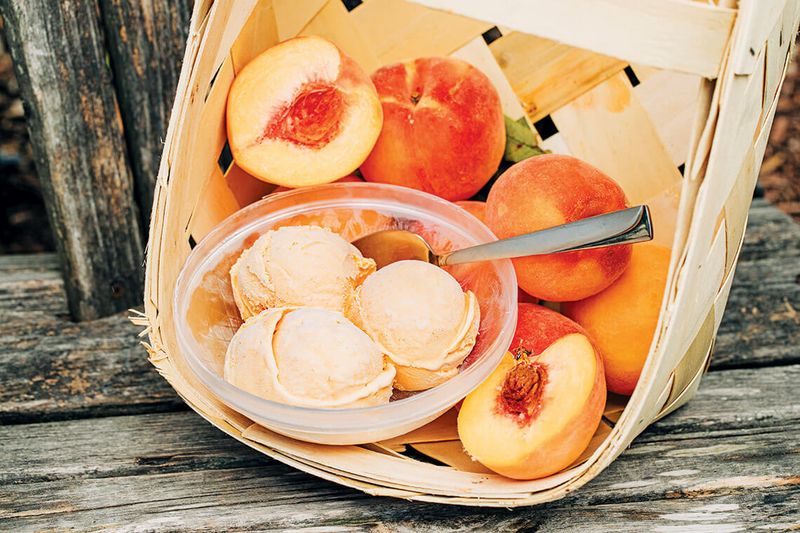 Peach Sorbet – Winston-Salem
