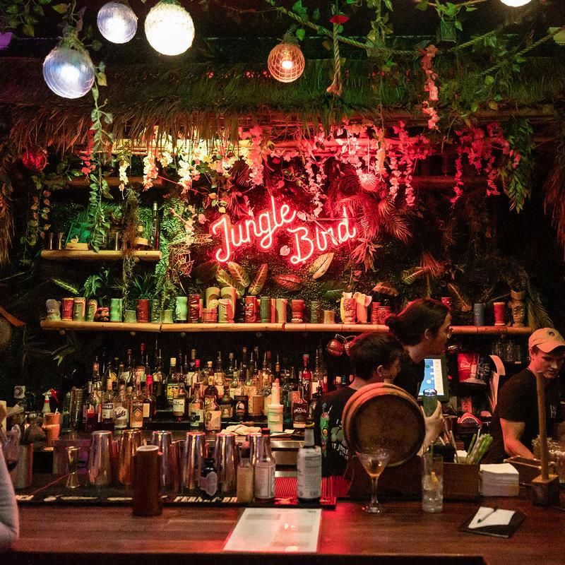 Jungle Bird – Cape Coral