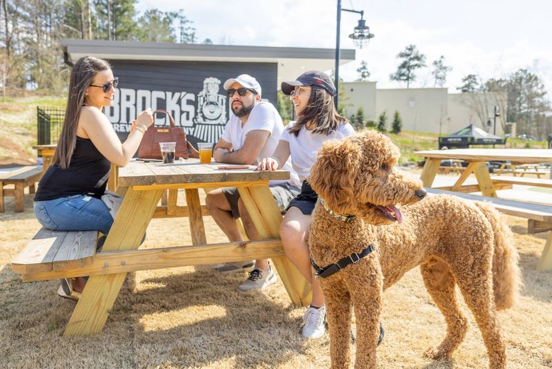 Brock's Gap Brewing Market