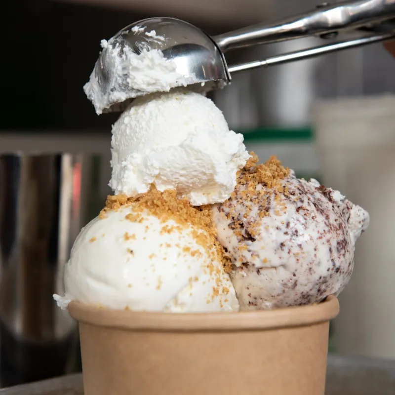Caffe Panna Crafts Ricotta And Honey Lavender Combinations